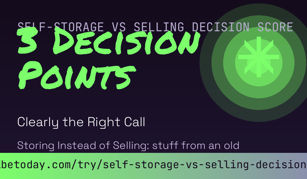 Self-Storage vs Selling Decision Score card preview